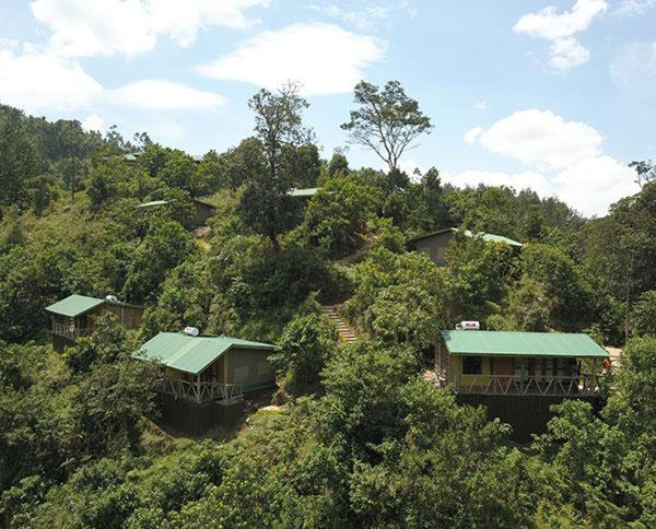 Gorilla Hills Eco-Lodge Kisoro Dış mekan fotoğraf