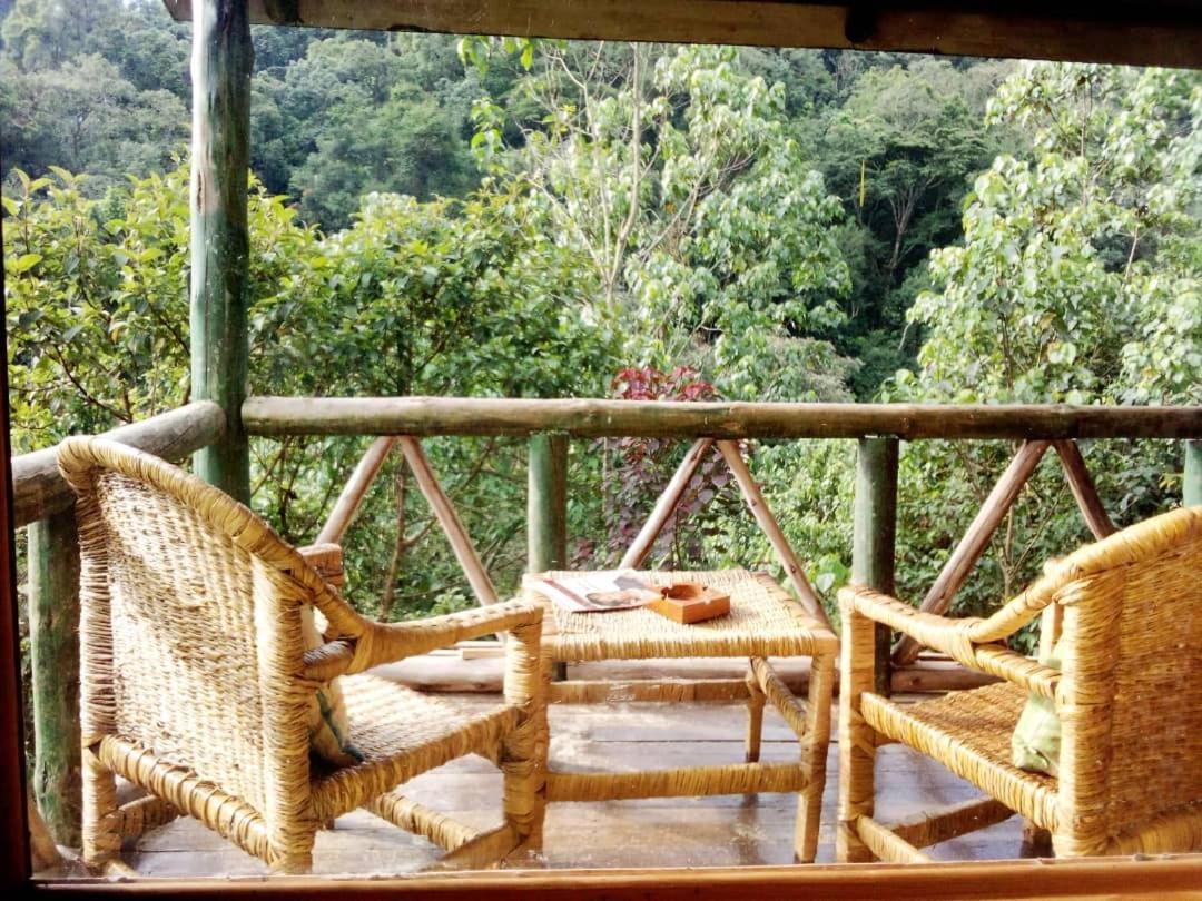 Gorilla Hills Eco-Lodge Kisoro Dış mekan fotoğraf