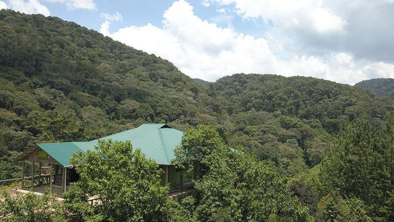 Gorilla Hills Eco-Lodge Kisoro Dış mekan fotoğraf