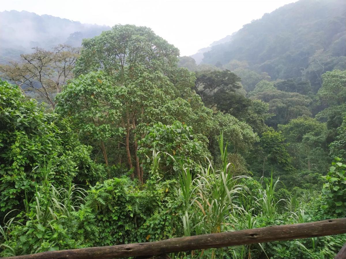 Gorilla Hills Eco-Lodge Kisoro Dış mekan fotoğraf