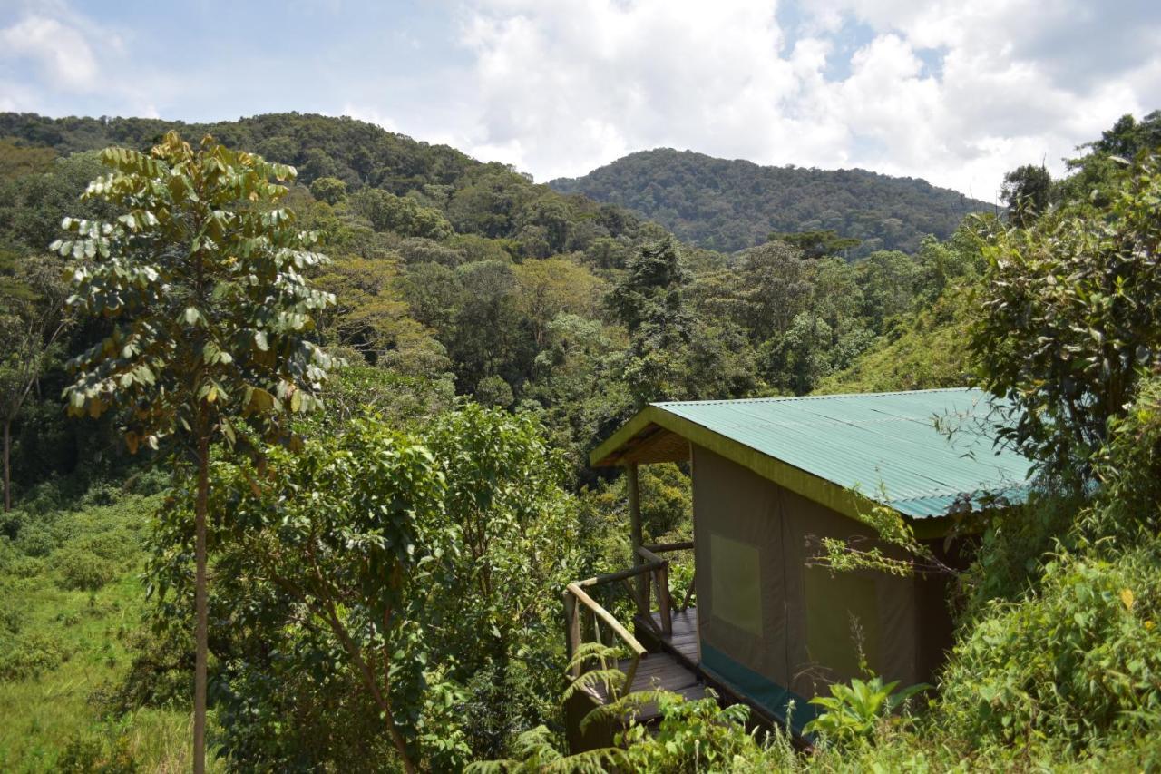 Gorilla Hills Eco-Lodge Kisoro Dış mekan fotoğraf