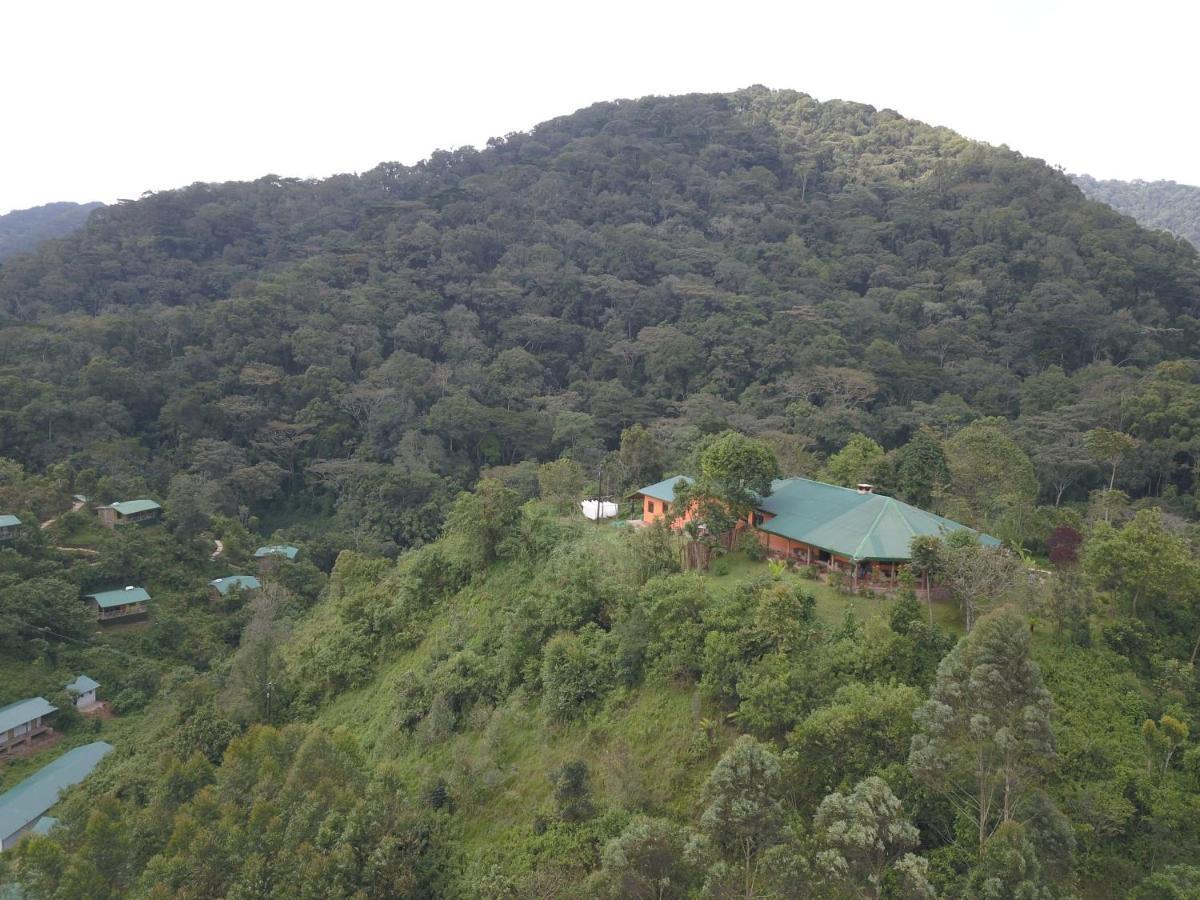 Gorilla Hills Eco-Lodge Kisoro Dış mekan fotoğraf